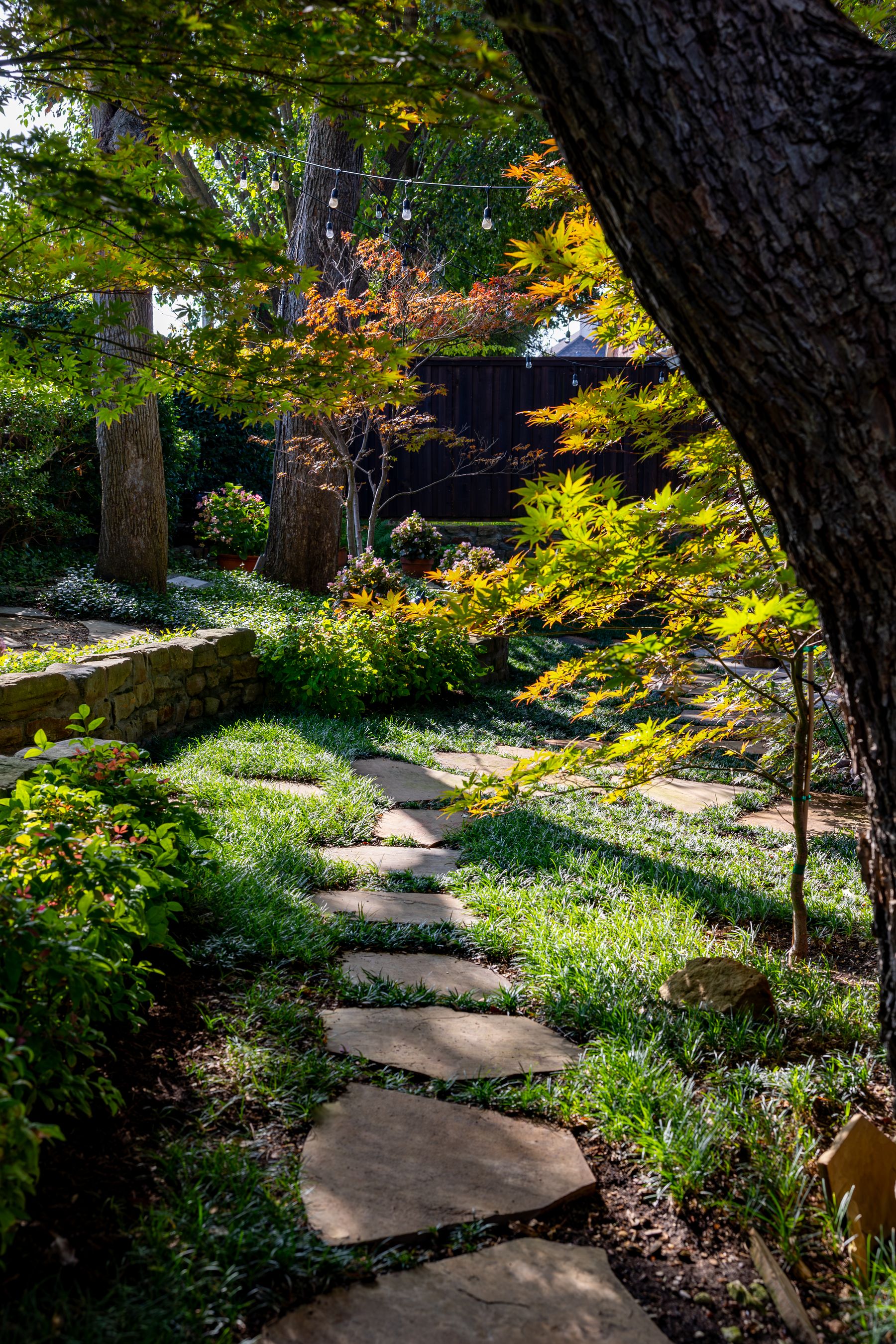🌳 Made for Shade: The Anatomy of a Great Shade Yard 🌳